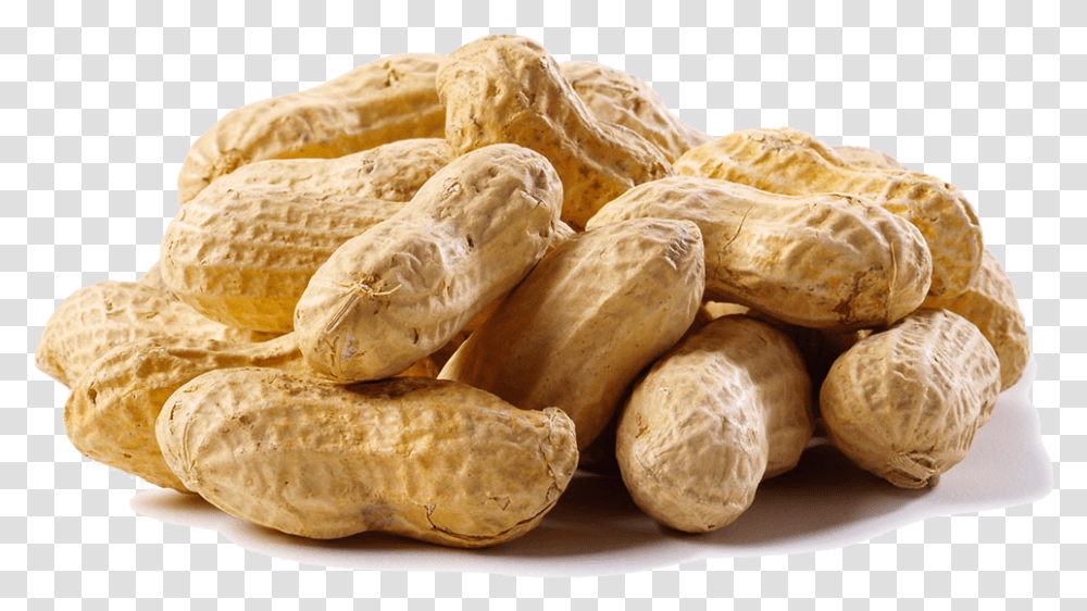 A New Study Showed That Eating Peanuts Or Peanut Butter, Plant, Bread, Food, Vegetable Transparent Png