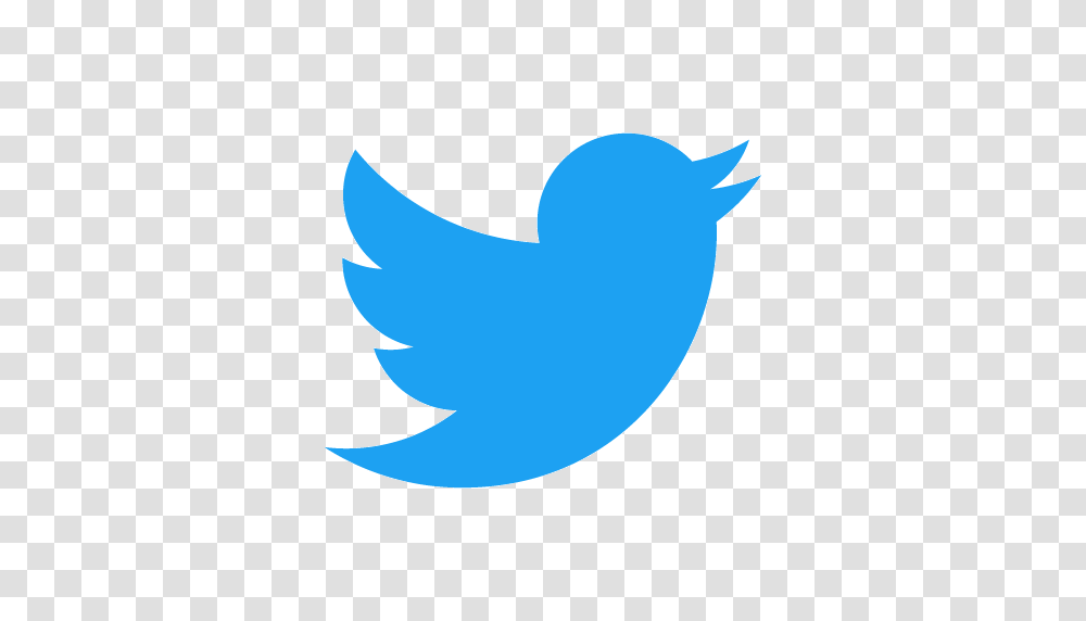 A New Twitter Account Follow Us, Shark, Fish, Animal, Logo Transparent Png