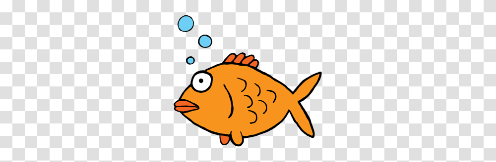 A Perfect World, Animal, Fish, Sea Life, Poster Transparent Png