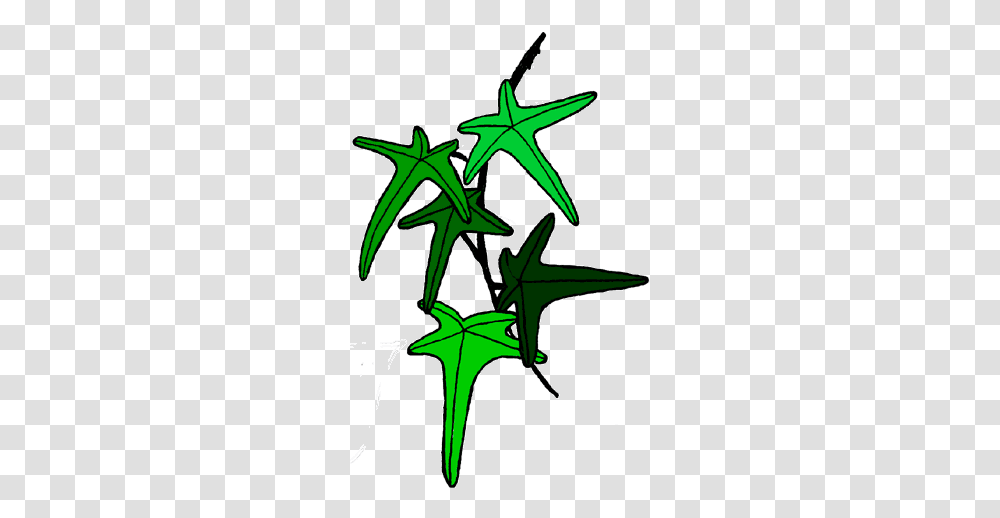 A Perfect World, Leaf, Plant, Star Symbol Transparent Png