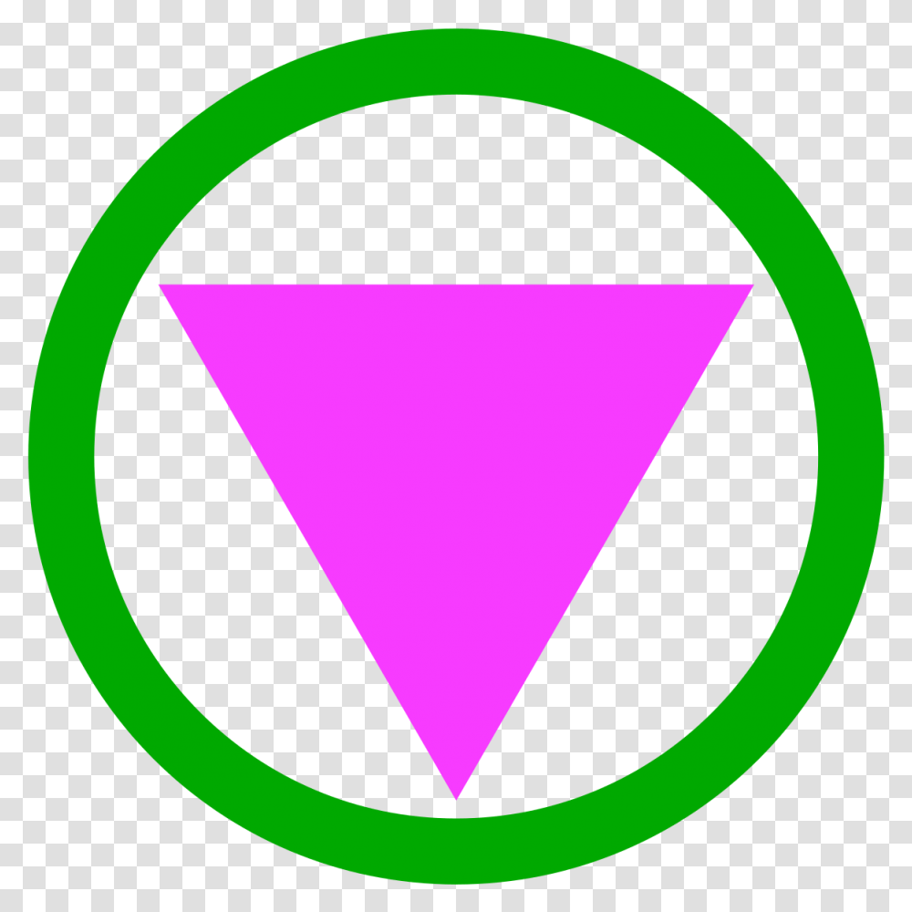 A Pink Triangle Surrounded Pink Triangle Green Circle, Plectrum Transparent Png