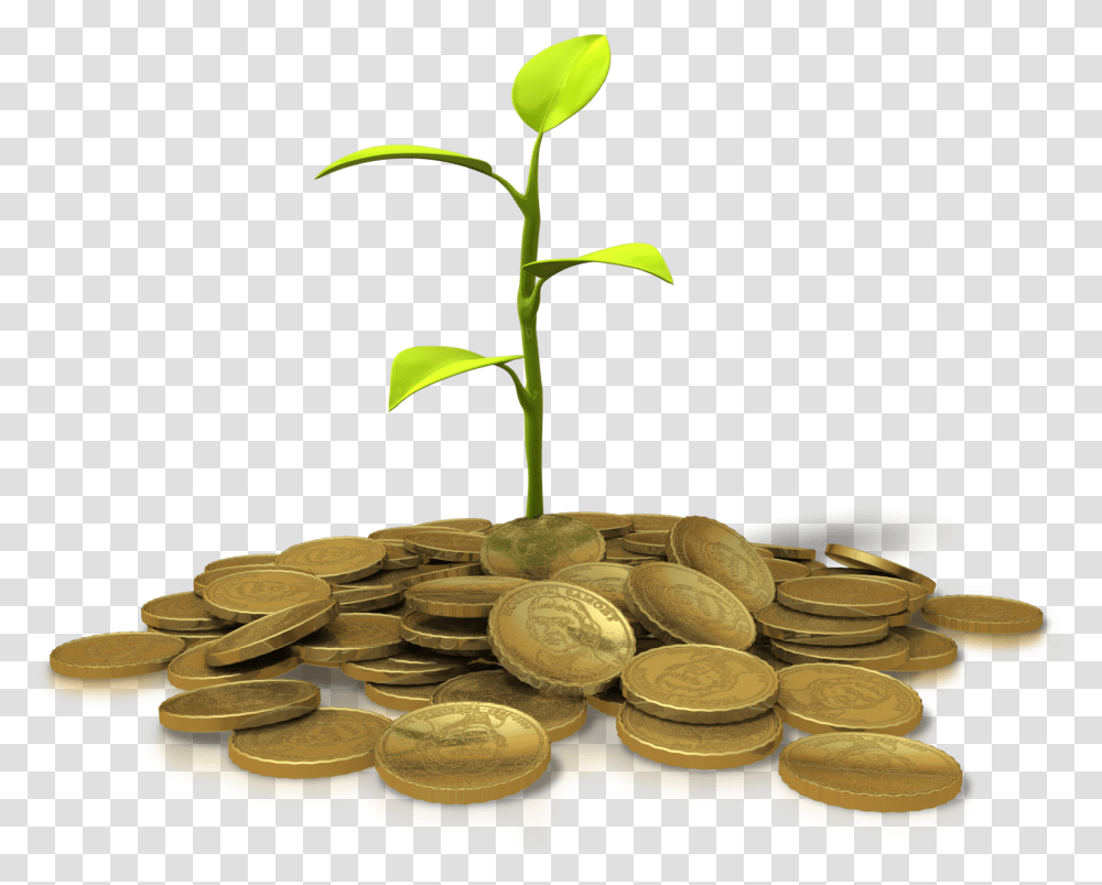 A Plant Growing From A Pile Of Gold Coins Invest, Money, Treasure, Nickel Transparent Png