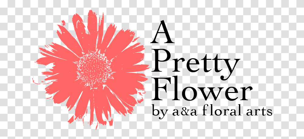 A Pretty Flower By Aampa Floral Arts Barberton Daisy, Plant, Nature, Home Decor, Outdoors Transparent Png