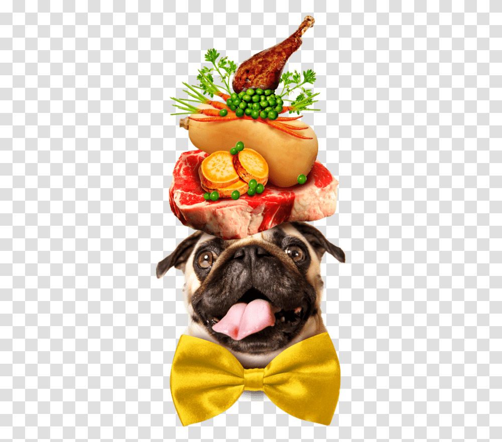 A Pug Dog Wearing A Large Yellow Bowtie And Balancing Pug Dog On His Head Fruits, Pet, Canine, Animal, Mammal Transparent Png