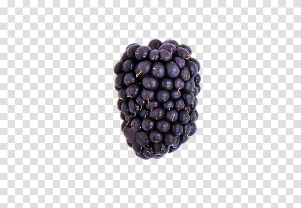 A Ripe Blackberry Blackberry, Plant, Fruit, Food, Grapes Transparent Png