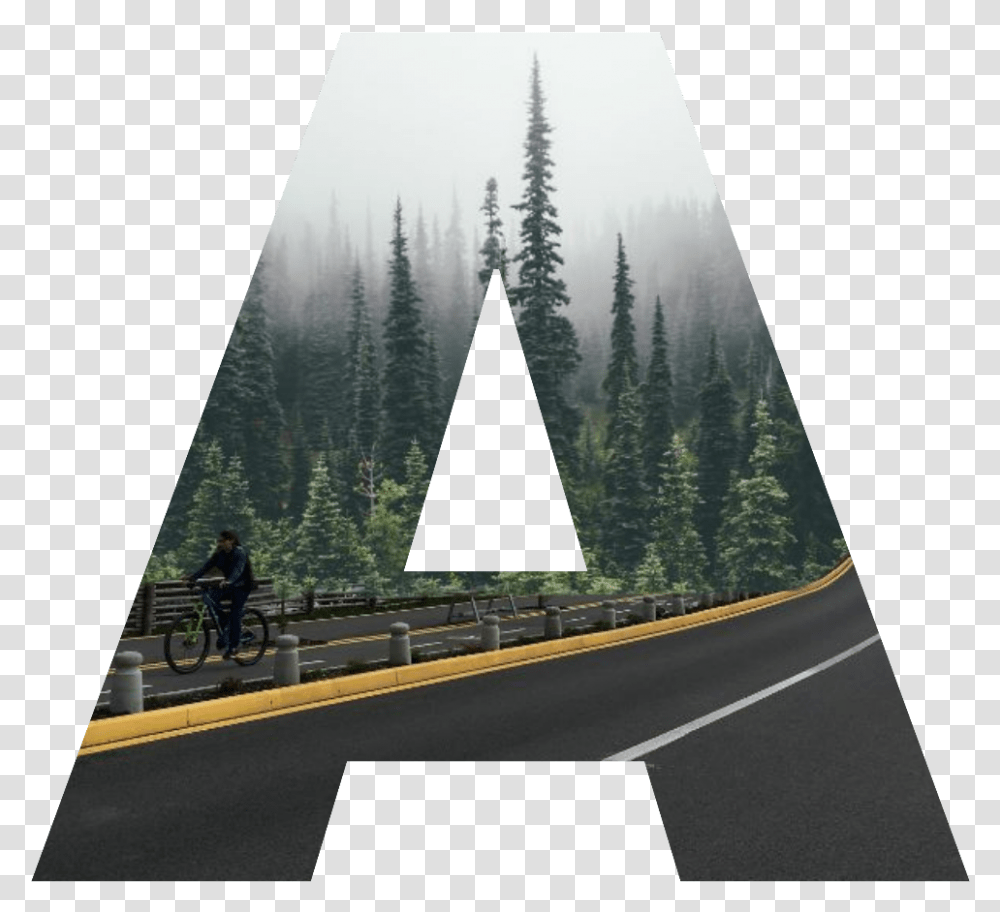 A Road Camino Bosque Forest Letter Letra Evergreens In The Wild, Person, Bicycle, Tree, Plant Transparent Png