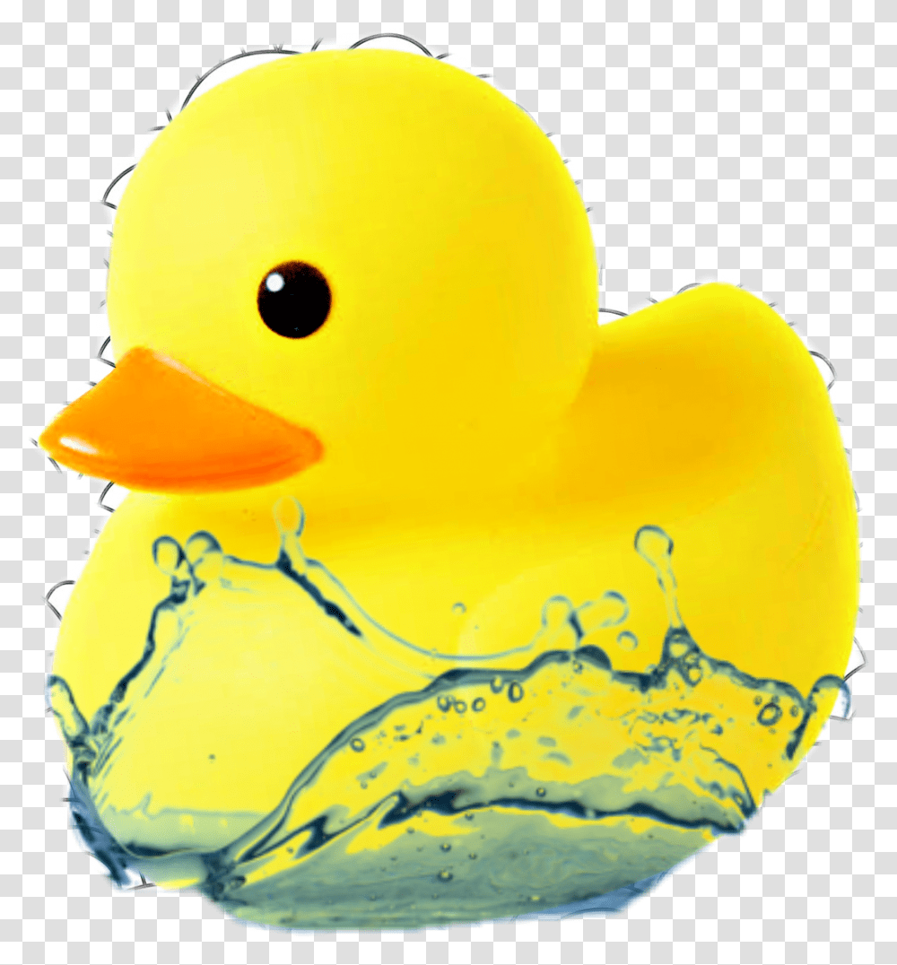 A Rubber Duckie Is Very Essential High Resolution Water Drops, Bird, Animal, Peeps, Helmet Transparent Png