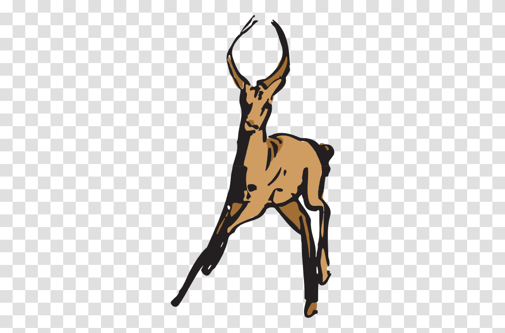 A Running Deer Vector, Mammal, Animal, Wildlife, Antelope Transparent Png