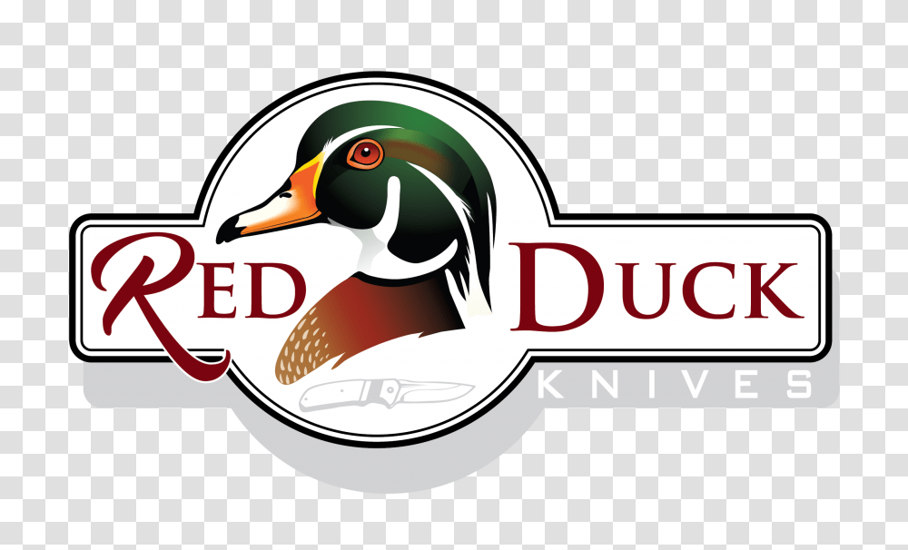 A Sharper Knife, Duck, Bird, Animal, Anseriformes Transparent Png