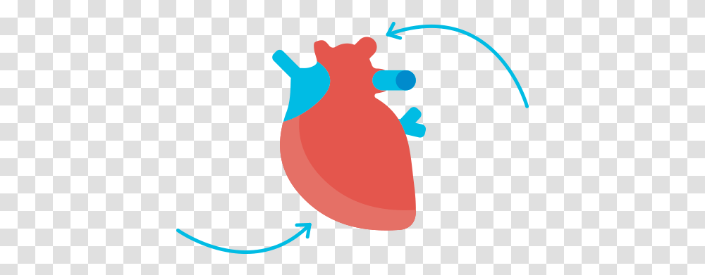 A Simple Guide To Heart Failure Hf It's Causes And Clip Art, Animal, Wildlife, Bird, Amphibian Transparent Png