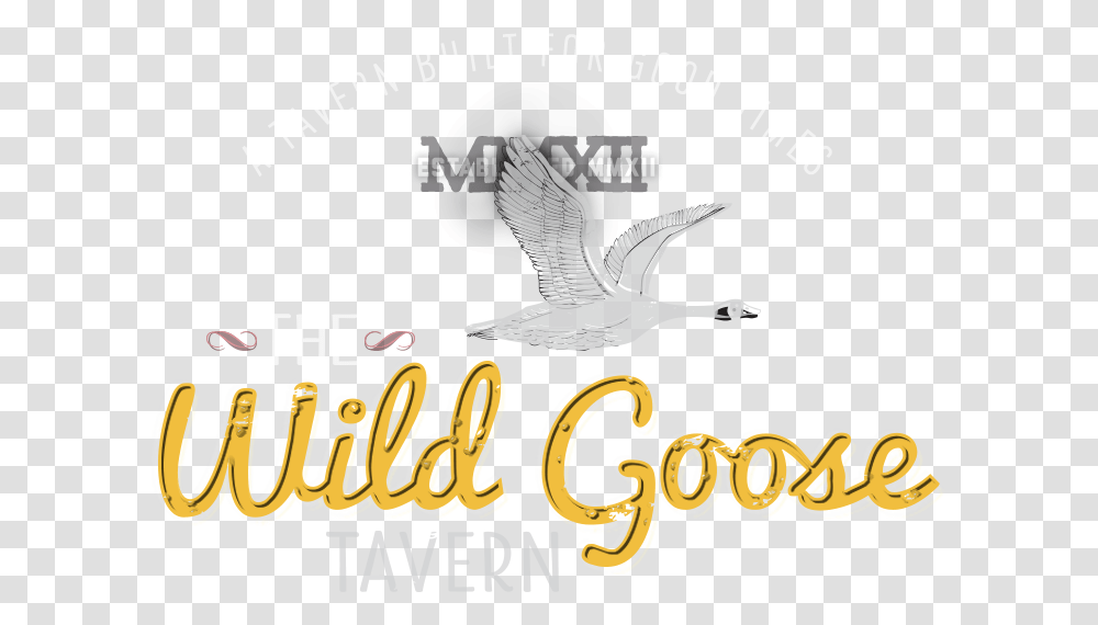 A Tavern Built For Good Times Seabird, Animal, Flying, Eagle Transparent Png