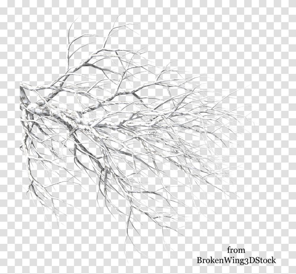 A Tree In Winter 784 Snow On Tree Branches, Plant, Root Transparent Png