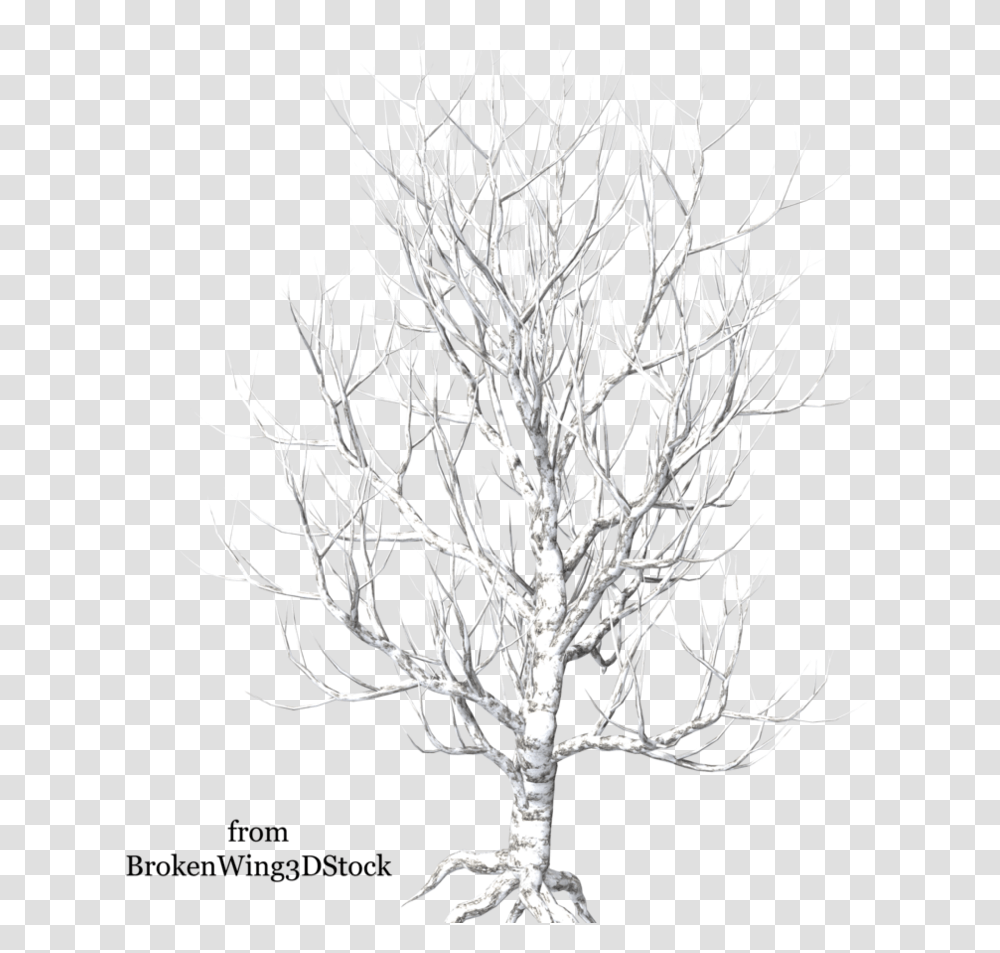 A Tree In Winter Tree, Plant, Tree Trunk, Chandelier, Lamp Transparent Png
