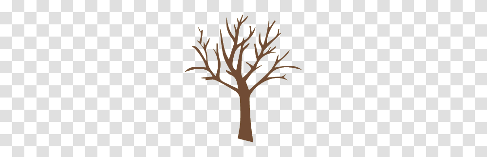 A Tree Trunk Drawing, Plant, Stencil Transparent Png