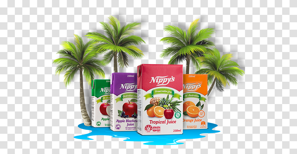 A Tropical Oasis For Their Lunchbox Attalea Speciosa, Juice, Beverage, Plant, Meal Transparent Png