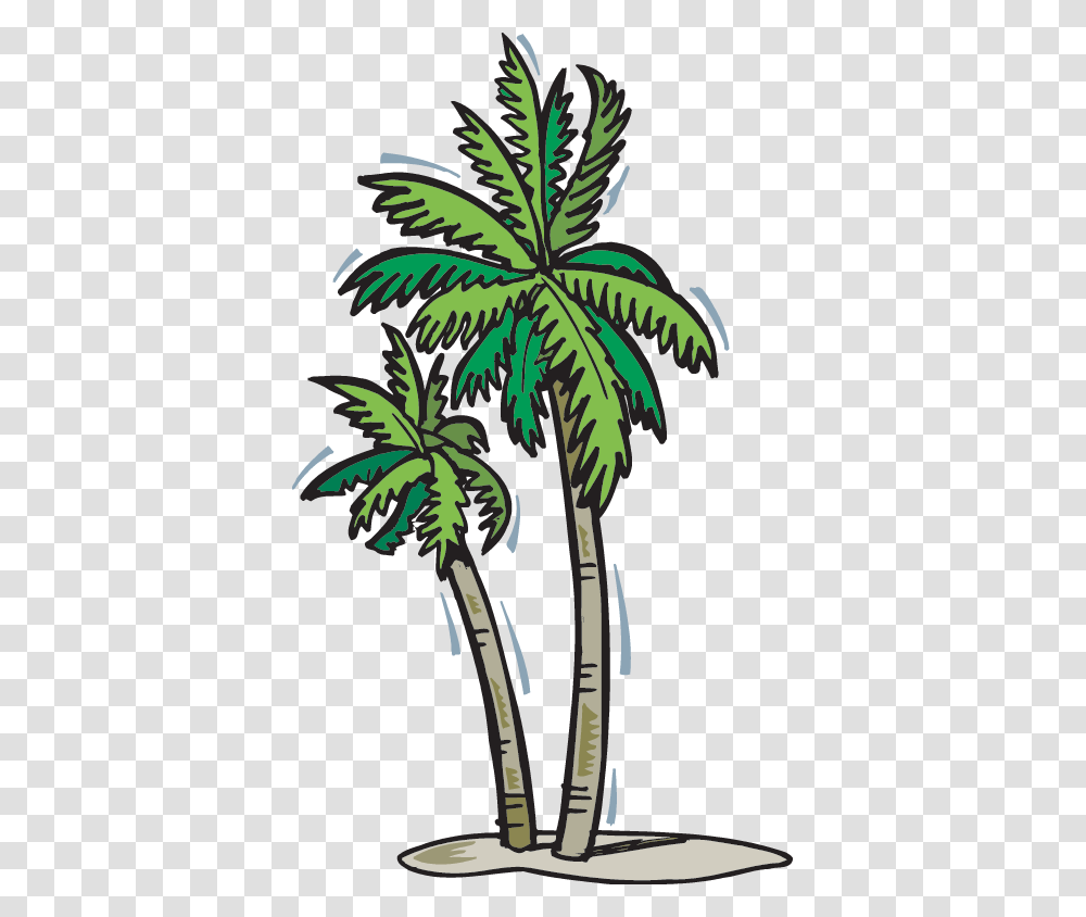A Walk In The Rain Forest Tree Gif, Plant, Palm Tree, Arecaceae, Bird Transparent Png