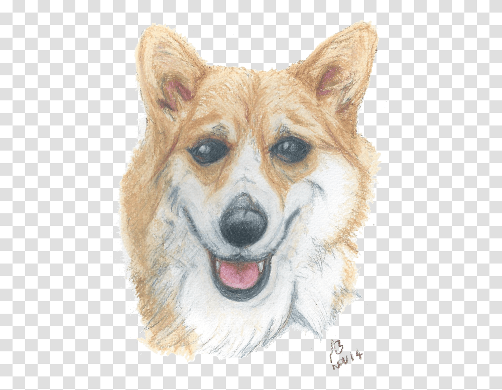 A Watercolour Pencil Drawing Of A Corgi Pembroke Welsh Corgi, Dog, Pet, Canine, Animal Transparent Png