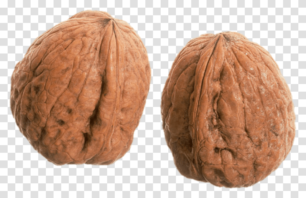 A Wrinkly Pair Of Nuts Walnut Transparent Png