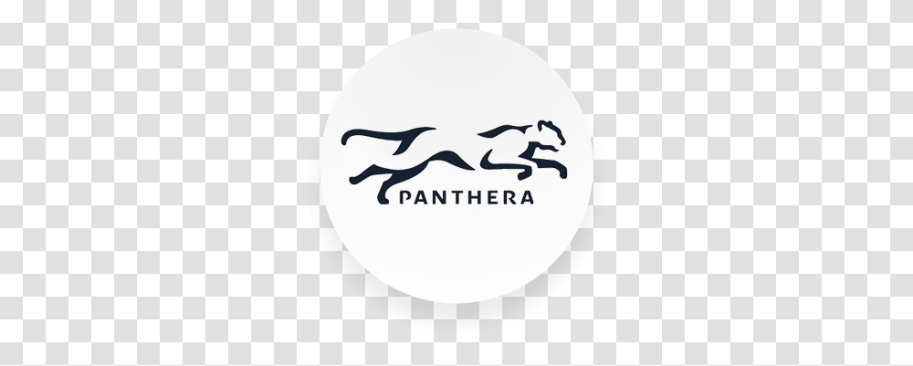 Aamer A Sarfraz Cheetah Logo, Symbol, Trademark, Label, Text Transparent Png