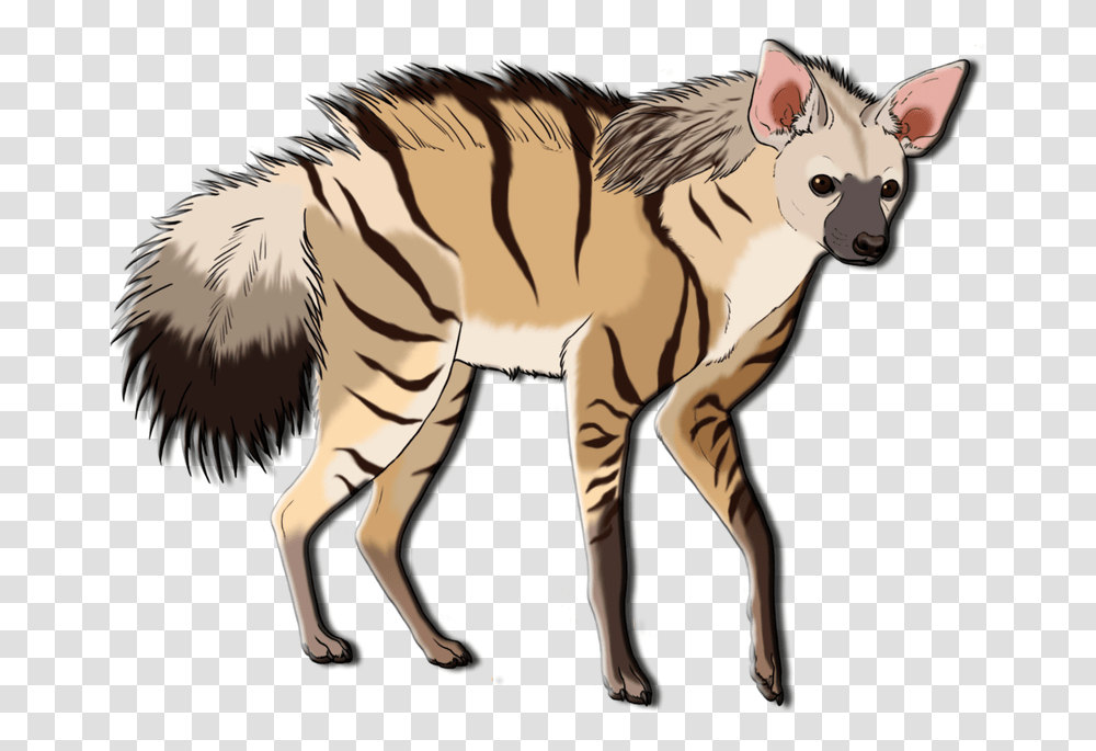 Aardwolf, Mammal, Animal, Wildlife, Zebra Transparent Png