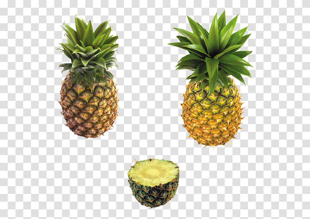 Abacaxi Ananas, Pineapple, Fruit, Plant, Food Transparent Png