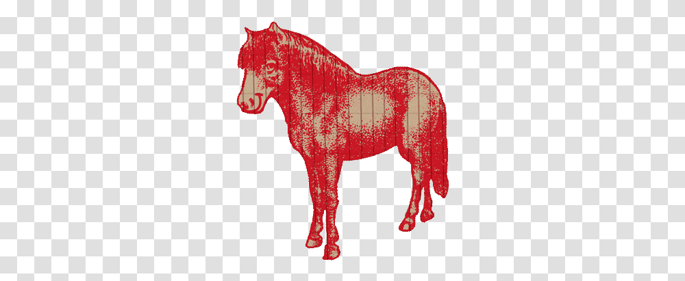 Abc Pony Mane, Mammal, Animal, Horse, Bull Transparent Png