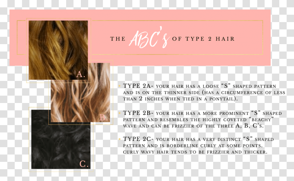 Abcs Of Hair Type 2 03 Lace Wig, Face, Person, Female Transparent Png