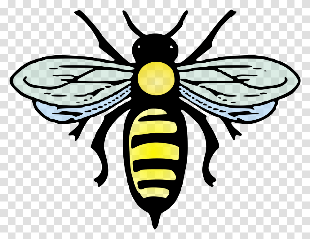 Abeille Clipart Bee Positive, Insect, Invertebrate, Animal, Wasp Transparent Png
