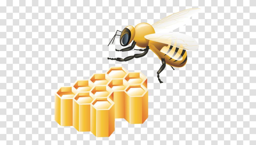 Abeilles Bumblebee Icon, Toy, Insect, Invertebrate, Animal Transparent Png