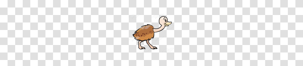 Abeka Clip Art Baby Ostrich, Animal, Bird, Person, Human Transparent Png