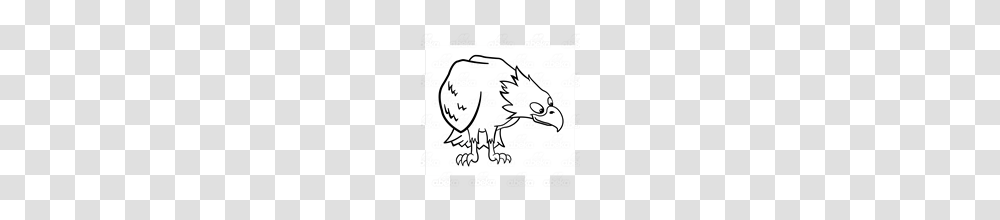 Abeka Clip Art Bald Eagle Looking Down, Drawing, Doodle, Sketch Transparent Png