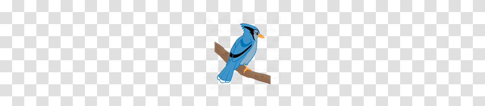 Abeka Clip Art Blue Jay On A Branch, Bird, Animal, Bluebird Transparent Png