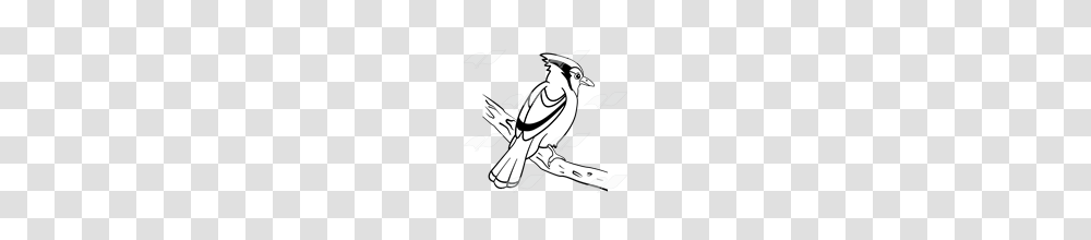 Abeka Clip Art Blue Jay On A Branch, Bird, Animal, Person, Human Transparent Png