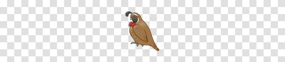 Abeka Clip Art Brown Quail With Red Bow Tie, Vulture, Bird, Animal, Partridge Transparent Png