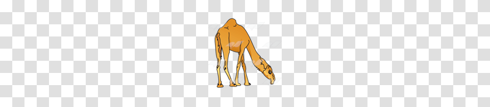 Abeka Clip Art Camel With Head Down, Animal, Mammal, Antelope, Wildlife Transparent Png