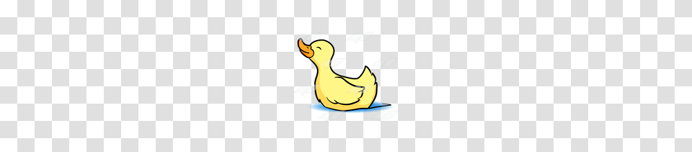 Abeka Clip Art Duck Stretching Neck In The Water, Bird, Animal, Dodo, Angry Birds Transparent Png