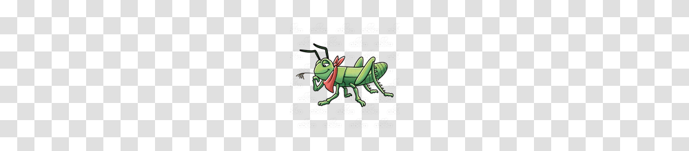 Abeka Clip Art Grasshopper Wearing A Neckerchief, Insect, Invertebrate, Animal, Grasshoper Transparent Png