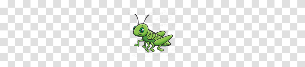 Abeka Clip Art Green Grasshopper With Green Eyes, Insect, Invertebrate, Animal, Grasshoper Transparent Png