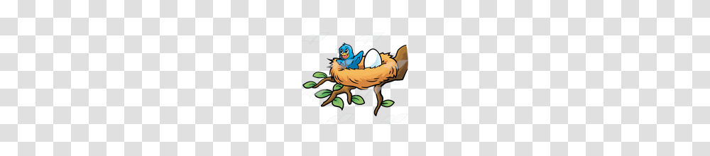 Abeka Clip Art Happy Baby Bird In A Nest With An Egg, Animal, Jay, Bee, Insect Transparent Png