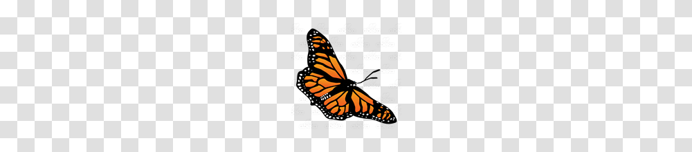 Abeka Clip Art Monarch Butterfly Diagonal, Insect, Invertebrate, Animal, Menu Transparent Png