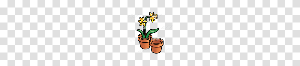 Abeka Clip Art Pots Of Daffodils Two Pots, Plant, Flower, Blossom, Dynamite Transparent Png
