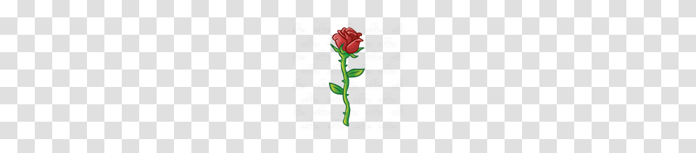 Abeka Clip Art Red Rose With Long Stem And Thorns, Flower, Plant, Blossom, Petal Transparent Png
