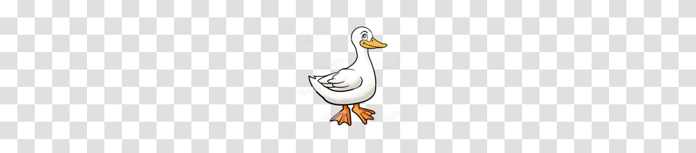 Abeka Clip Art White Duck, Bird, Animal, Goose, Waterfowl Transparent Png