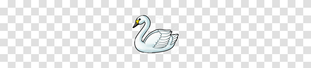 Abeka Clip Art White Swan, Animal, Bird, Jay, Anseriformes Transparent Png