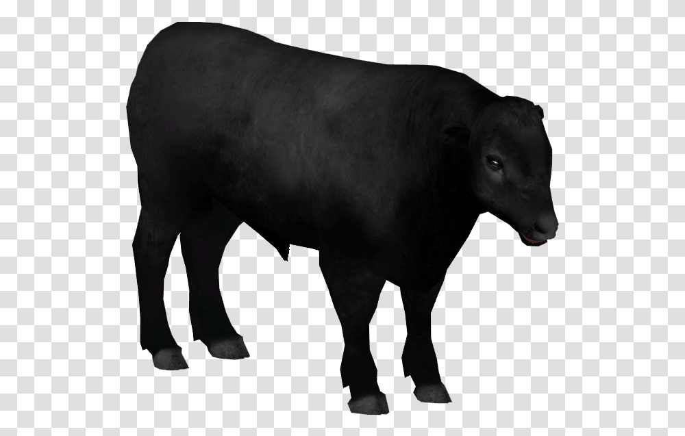 Aberdeen Angus Cattle Cattle, Bull, Mammal, Animal, Horse Transparent Png