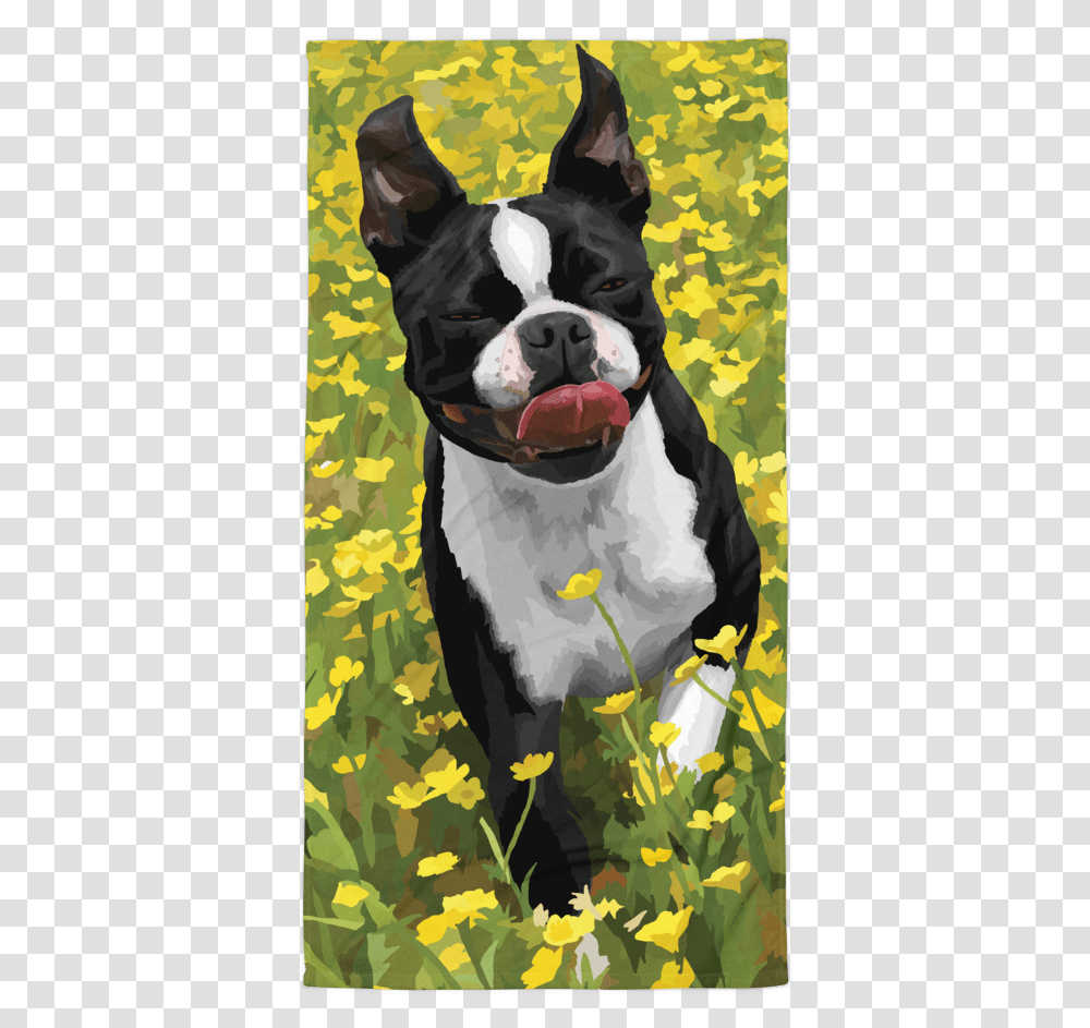 Abigail The Boston Terrier Boston Terrier Easter, Bulldog, Pet, Canine, Animal Transparent Png