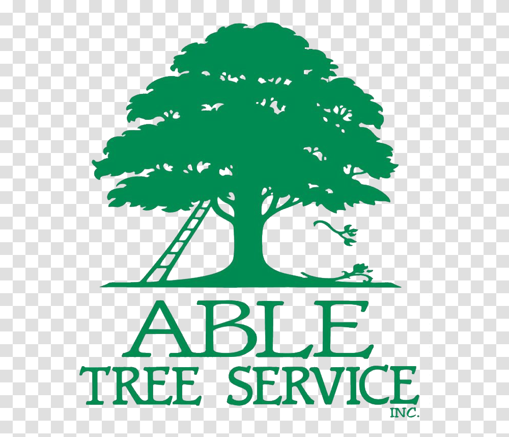 Able Tree Service, Plant, Poster, Advertisement, Ornament Transparent Png