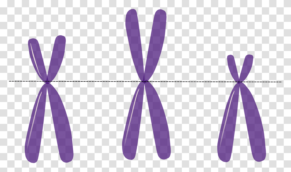 Abnormally Interacting Neurons Might Be The Reason For Cognitive, Logo, Trademark, Pattern Transparent Png