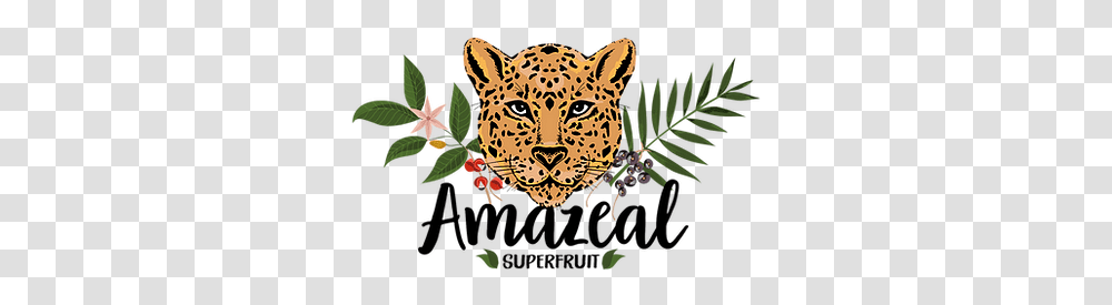 About Amazeal Superfruit Big, Graphics, Art, Mammal, Animal Transparent Png