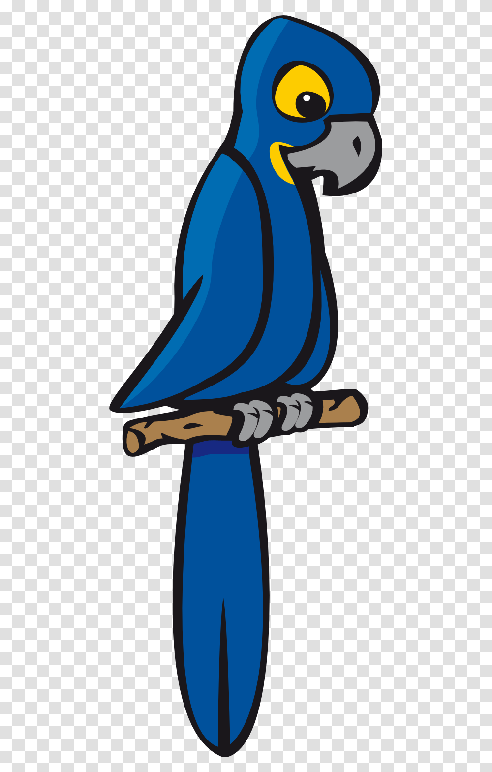 About, Animal, Jay, Bird, Bluebird Transparent Png